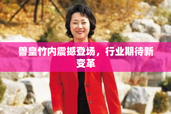 兽皇竹内震撼登场，行业期待新变革