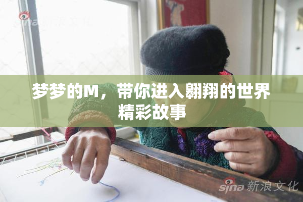 梦梦的M，带你进入翱翔的世界精彩故事