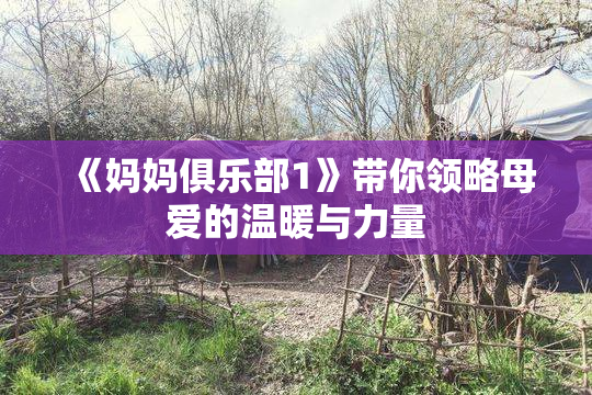 《妈妈俱乐部1》带你领略母爱的温暖与力量