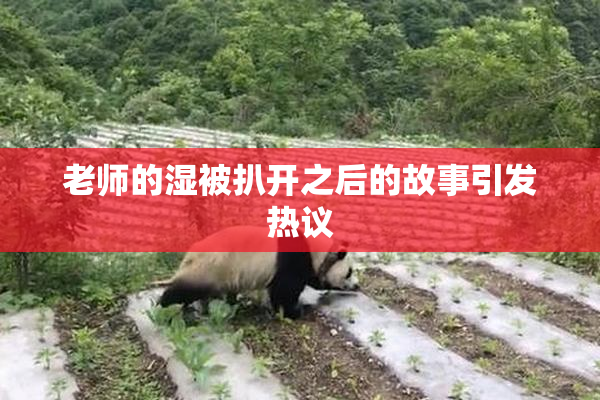 老师的湿被扒开之后的故事引发热议