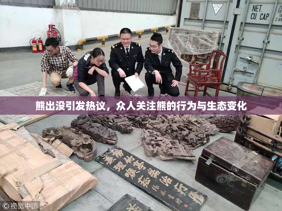熊出没引发热议，众人关注熊的行为与生态变化