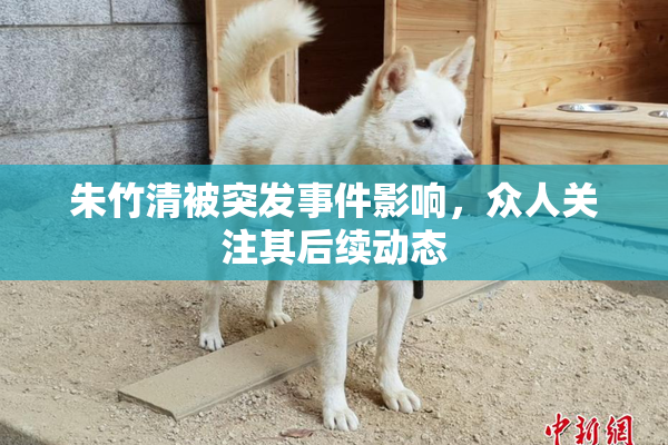 朱竹清被突发事件影响，众人关注其后续动态