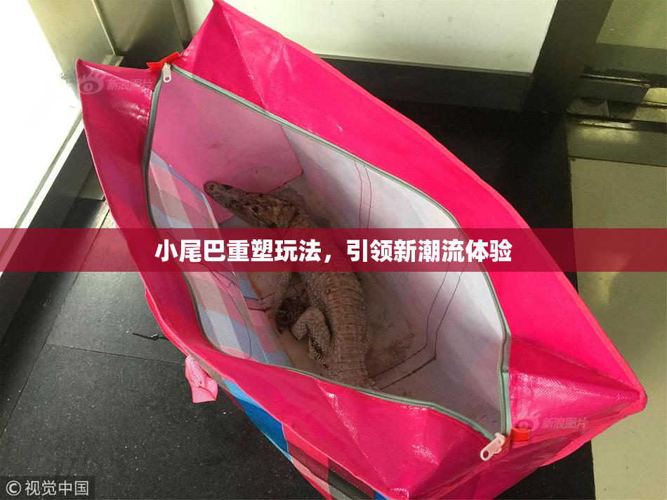 小尾巴重塑玩法，引领新潮流体验