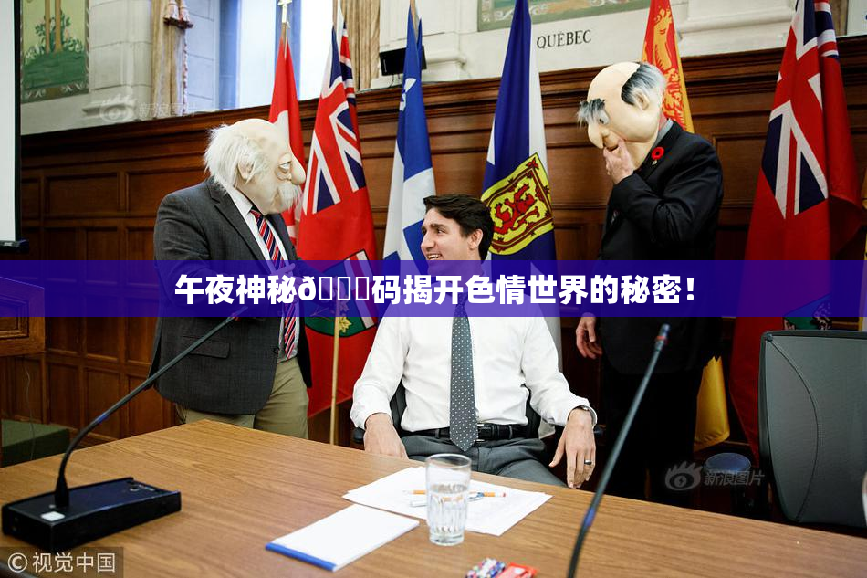 午夜神秘🈚码揭开色情世界的秘密！