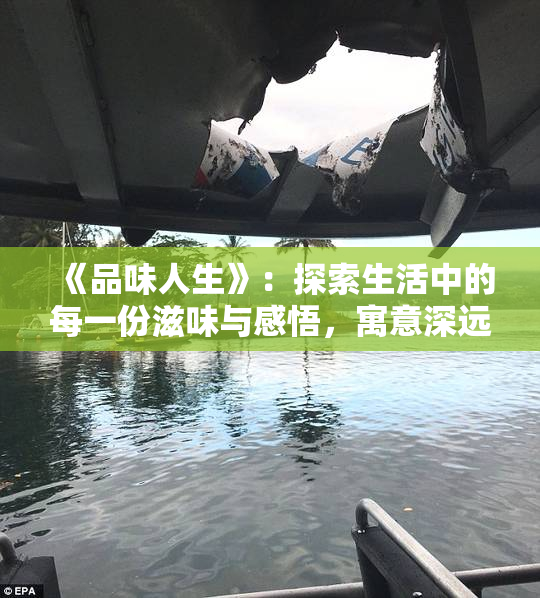 《品味人生》：探索生活中的每一份滋味与感悟，寓意深远的旅程