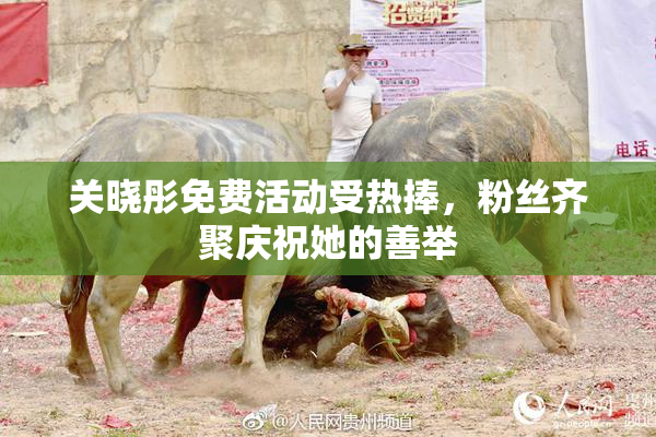 关晓彤免费活动受热捧，粉丝齐聚庆祝她的善举