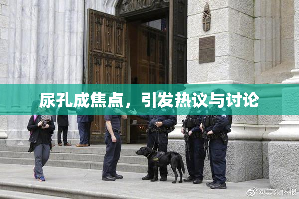 尿孔成焦点，引发热议与讨论