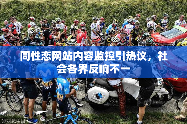 同性恋网站内容监控引热议，社会各界反响不一