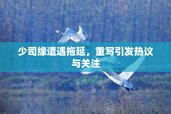 少司缘遭遇拖延，重写引发热议与关注