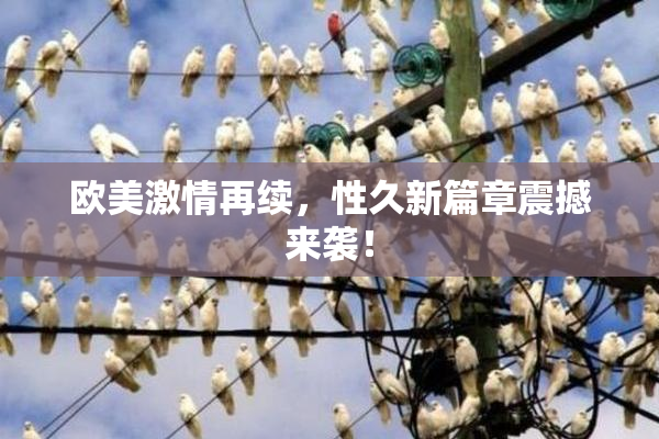 欧美激情再续，性久新篇章震撼来袭！