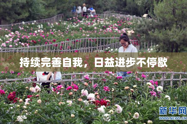 持续完善自我，日益进步不停歇