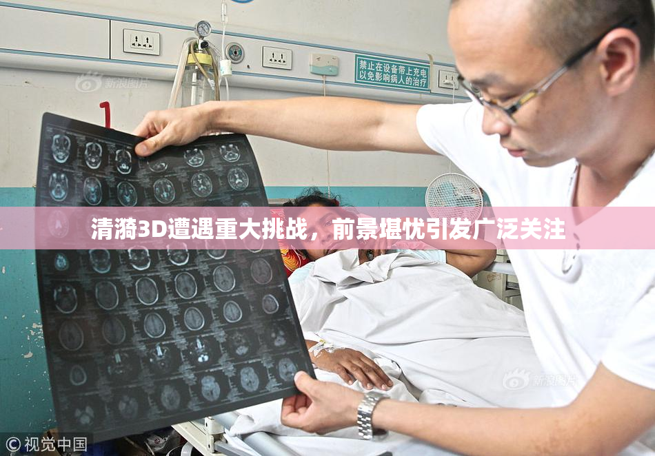 清漪3D遭遇重大挑战，前景堪忧引发广泛关注
