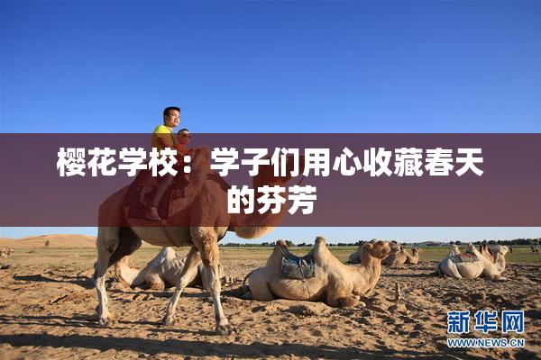 樱花学校：学子们用心收藏春天的芬芳
