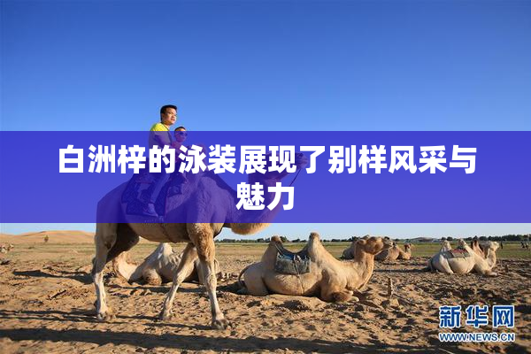 白洲梓的泳装展现了别样风采与魅力