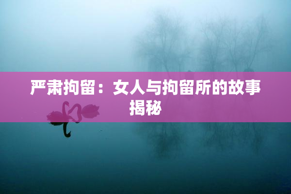 严肃拘留：女人与拘留所的故事揭秘