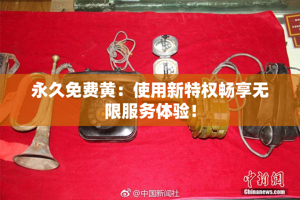 永久免费黄：使用新特权畅享无限服务体验！