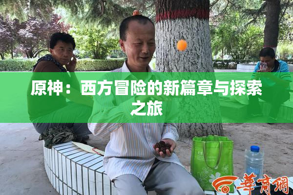 原神：西方冒险的新篇章与探索之旅