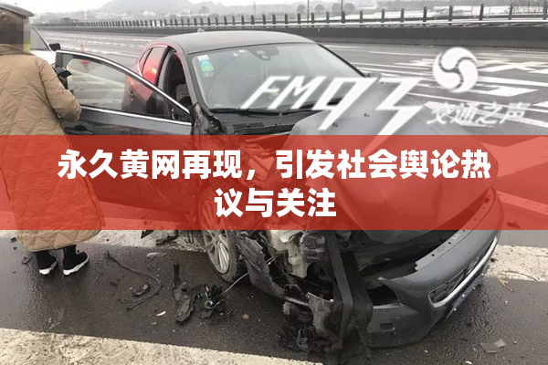 永久黄网再现，引发社会舆论热议与关注