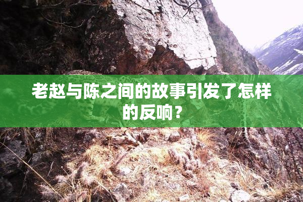 老赵与陈之间的故事引发了怎样的反响？