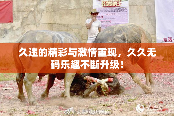 久违的精彩与激情重现，久久无码乐趣不断升级！