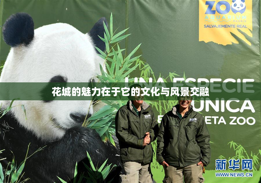 花城的魅力在于它的文化与风景交融