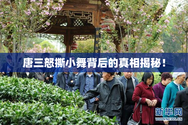 唐三怒撕小舞背后的真相揭秘！
