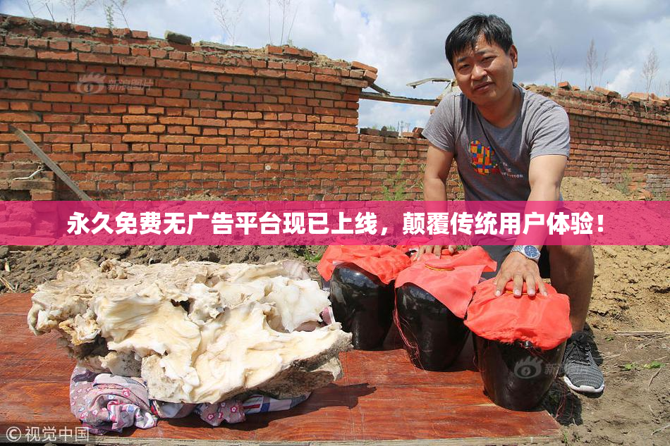 永久免费无广告平台现已上线，颠覆传统用户体验！
