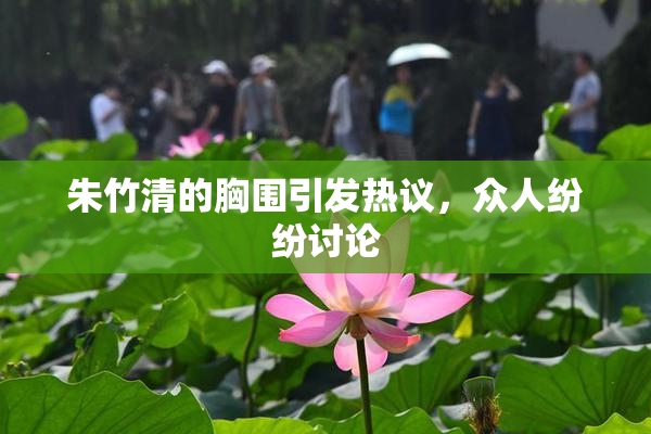 朱竹清的胸围引发热议，众人纷纷讨论