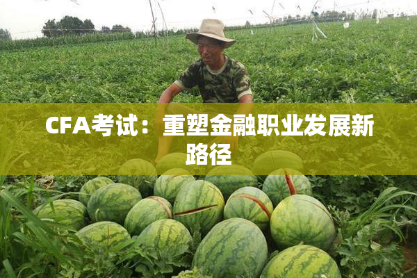 CFA考试：重塑金融职业发展新路径