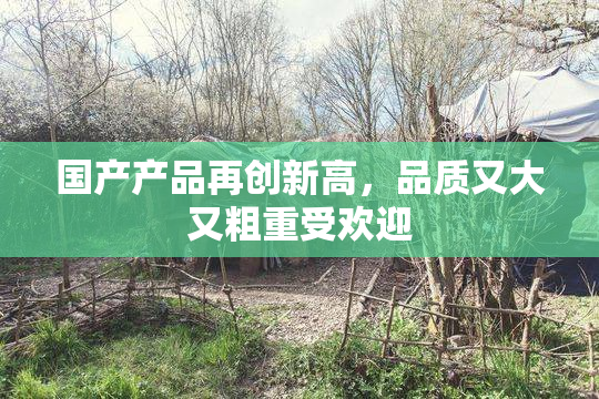 国产产品再创新高，品质又大又粗重受欢迎