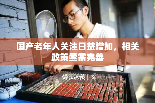 国产老年人关注日益增加，相关政策亟需完善
