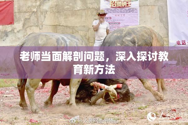 老师当面解剖问题，深入探讨教育新方法
