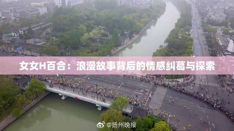 女女H百合：浪漫故事背后的情感纠葛与探索