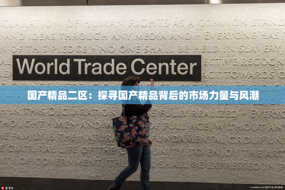 国产精品二区：探寻国产精品背后的市场力量与风潮