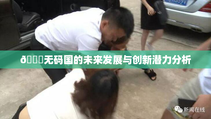 🔞无码国的未来发展与创新潜力分析