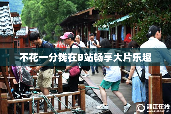 不花一分钱在B站畅享大片乐趣