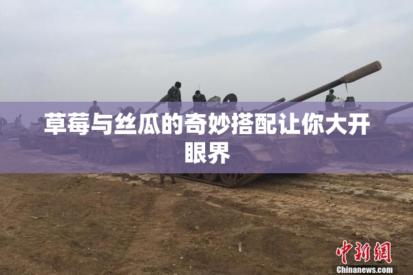 草莓与丝瓜的奇妙搭配让你大开眼界