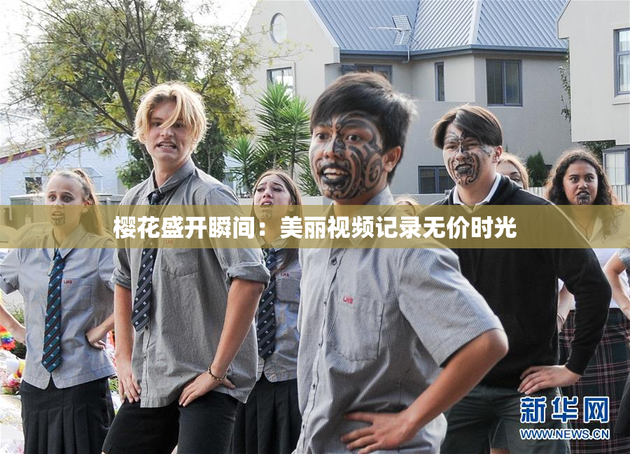 樱花盛开瞬间：美丽视频记录无价时光