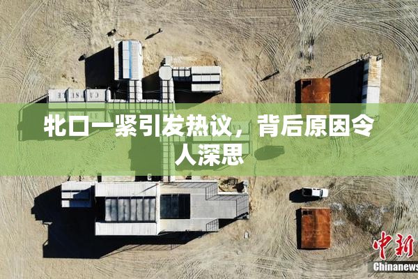 牝口一紧引发热议，背后原因令人深思