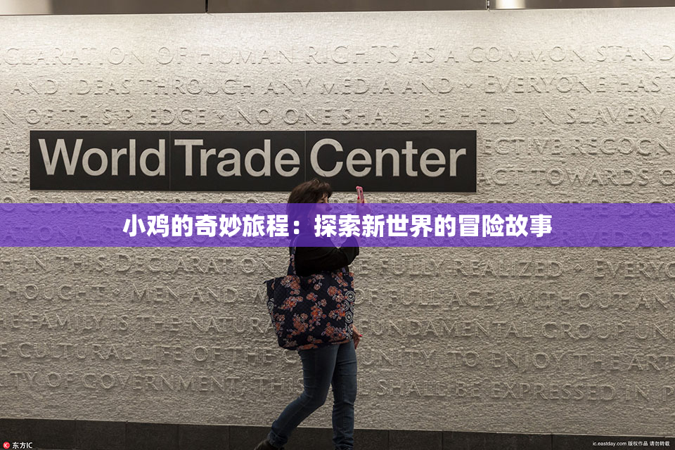 小鸡的奇妙旅程：探索新世界的冒险故事