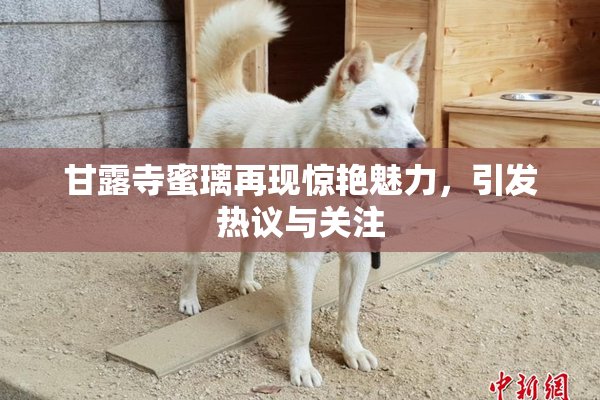 甘露寺蜜璃再现惊艳魅力，引发热议与关注