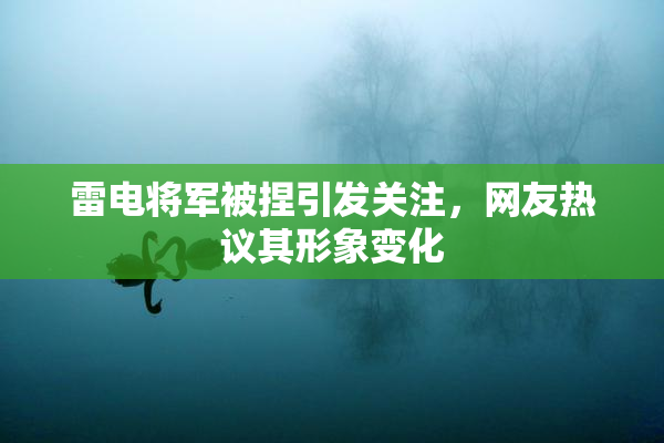 雷电将军被捏引发关注，网友热议其形象变化