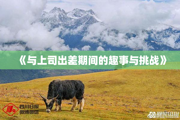 《与上司出差期间的趣事与挑战》