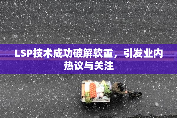 LSP技术成功破解软重，引发业内热议与关注