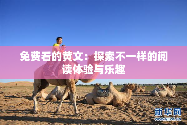 免费看的黄文：探索不一样的阅读体验与乐趣