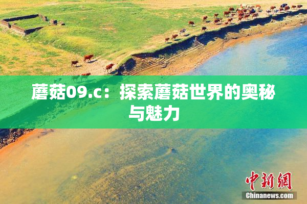 蘑菇09.c：探索蘑菇世界的奥秘与魅力