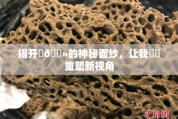 揭开‌🐻的神秘面纱，让我❌‌重塑新视角