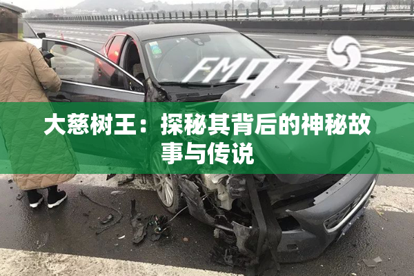 大慈树王：探秘其背后的神秘故事与传说