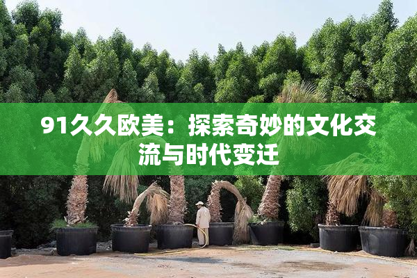 91久久欧美：探索奇妙的文化交流与时代变迁