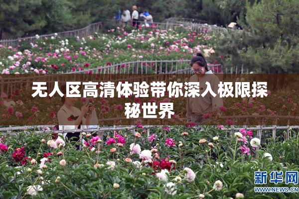无人区高清体验带你深入极限探秘世界